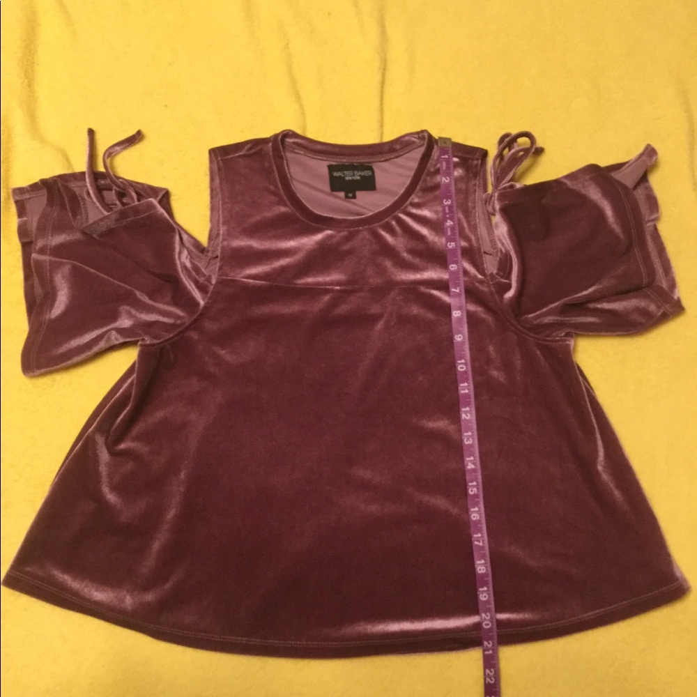 Walter Baker Light Plum Colored Velvet Top